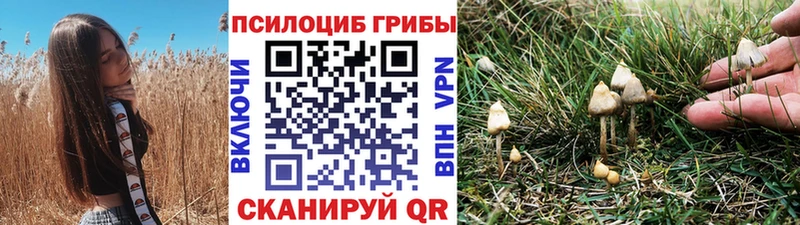 Псилоцибиновые грибы Psilocybine cubensis Камешково
